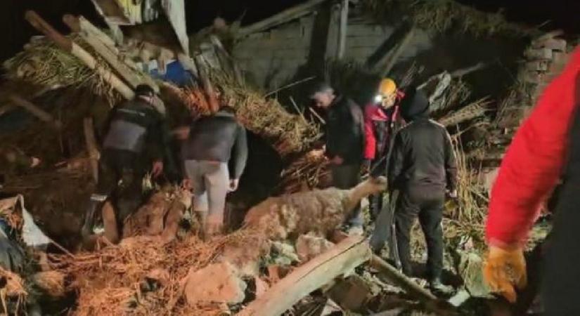 Aksaray’da mandıra çöktü, çok sayıda hayvan telef oldu