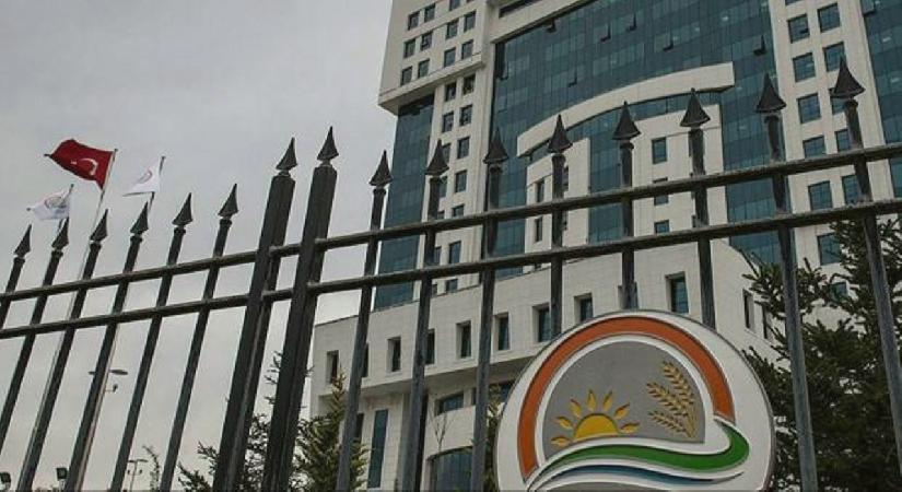 Esaslar yeniden düzenlendi: 21 ilde kenevir üretimi yapılabilecek