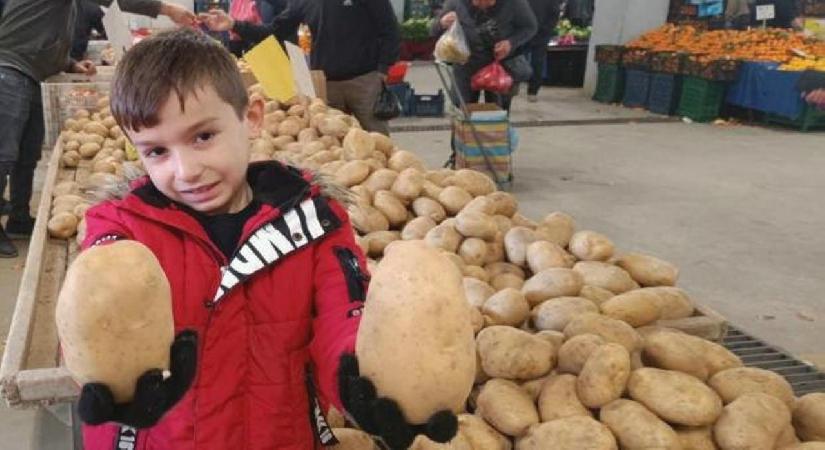 Sarıgöl pazarında dev patatesler ilgi odağı oldu