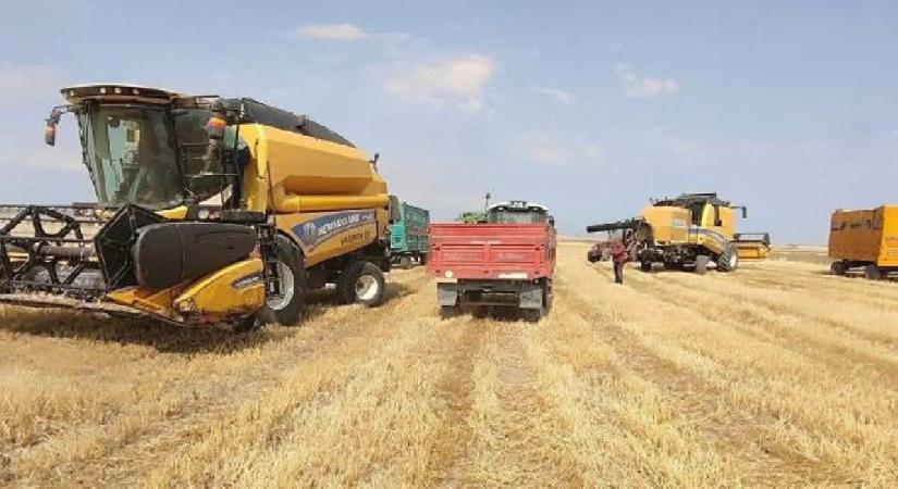 Tarımda tüm zamanların en yüksek yıllık ihracatı