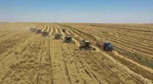 Yem sanayicilerinden yeni karar! Fiyatlar sabit kalacak