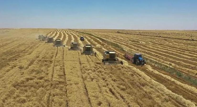 Yem sanayicilerinden yeni karar! Fiyatlar sabit kalacak