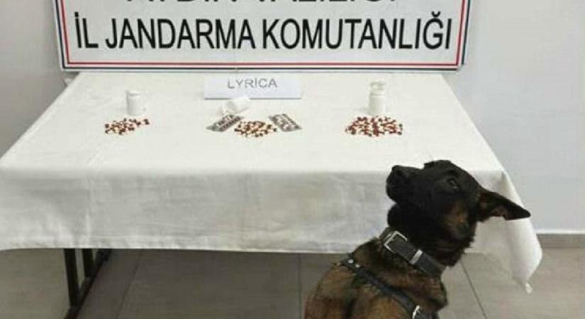 Aydın’da uyuşturucu operasyonu; 10 tutuklama