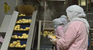 Gıda sektörüne ceza yağdı! Piyasayı bozanlara geçit yok