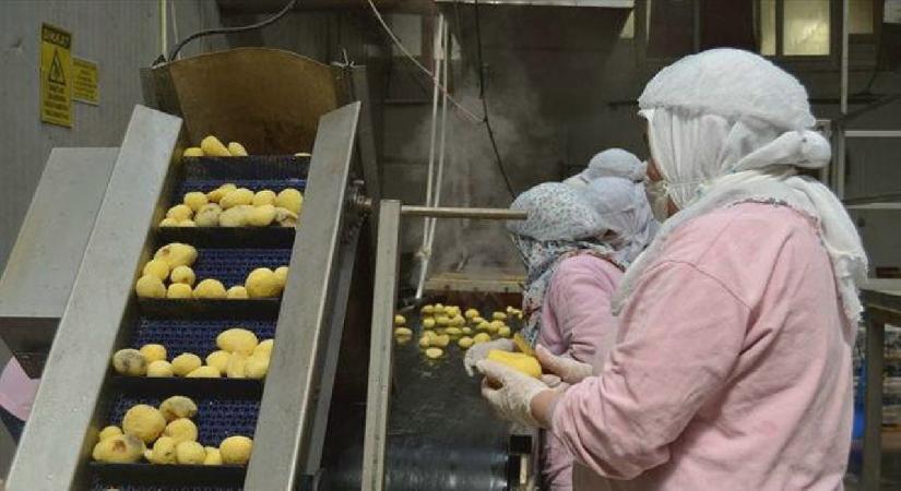 Gıda sektörüne ceza yağdı! Piyasayı bozanlara geçit yok