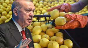 Limon fiyatları 100 lirayı aşmıştı! Cumhurbaşkanı Erdoğan devreye girdi