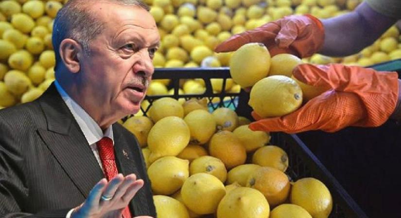 Limon fiyatları 100 lirayı aşmıştı! Cumhurbaşkanı Erdoğan devreye girdi