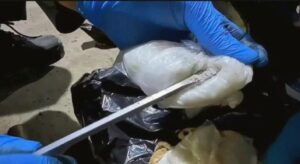 Mutfak tüpüne zulalanmış 8 kilo 300 gram metamfetamin ele geçirildi