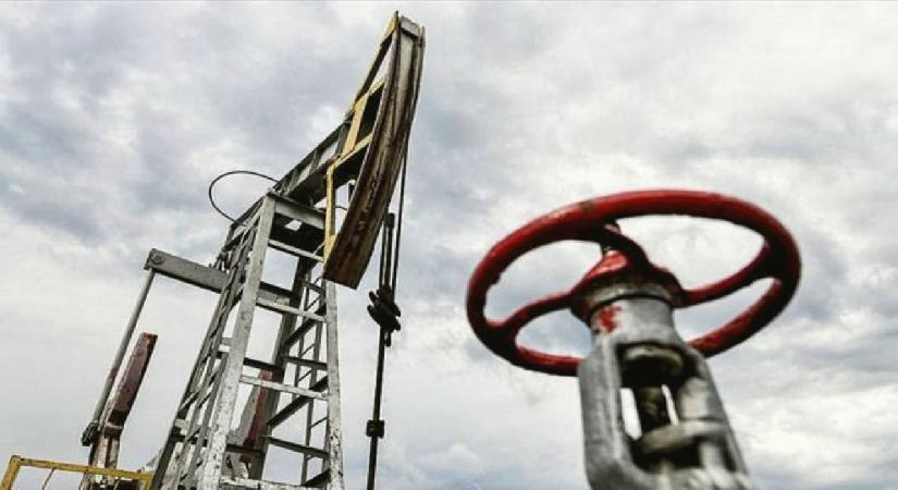 Rusya: Enerji kaynaklarını öncelikle en yakın komşularımıza tedarik edeceğiz