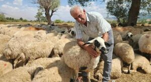 120 bin liraya çalışacak işçi bulamıyorlar! Yeni nesil bu sektöre yanaşmıyor