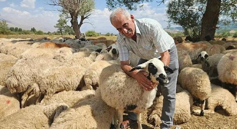 120 bin liraya çalışacak işçi bulamıyorlar! Yeni nesil bu sektöre yanaşmıyor