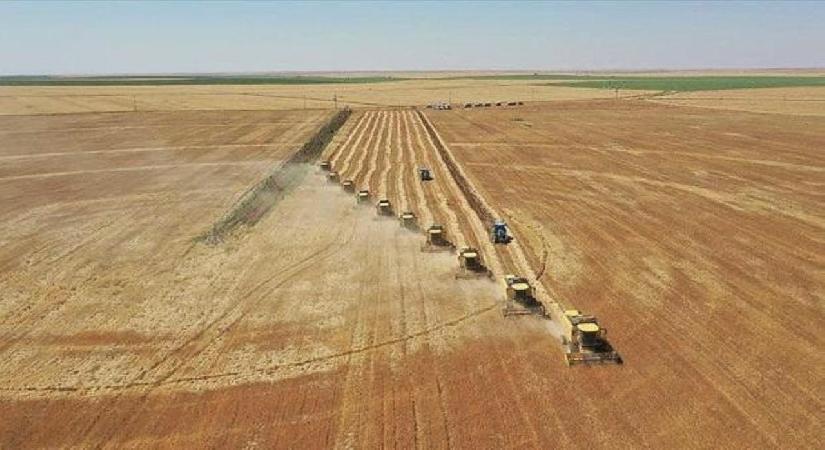 Arazi sahipleri dikkat! Bakanlık duyurdu: Tüm araziler için yeni kullanım planı geliyor!