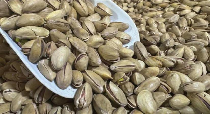 Türkiye’den yılın ilk çeyreğinde 32,8 milyon dolarlık fıstık ihracatı