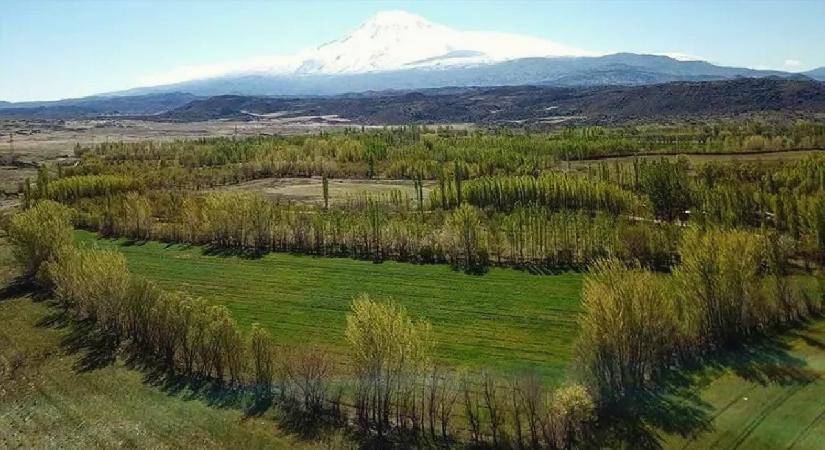 2B arazileri için yeni karar! Fiyat farkı en fazla yüzde 20 olacak