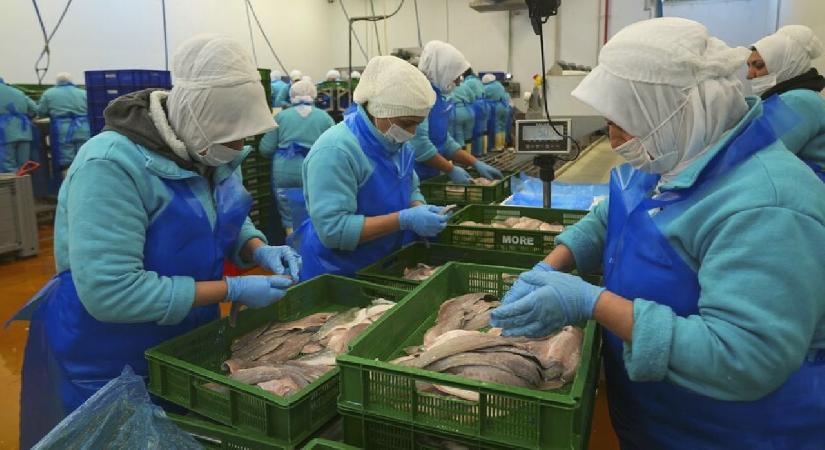 Türkiye geçen yıl 133 ülkeye 2,2 milyar dolarlık su ürünleri ihraç etti