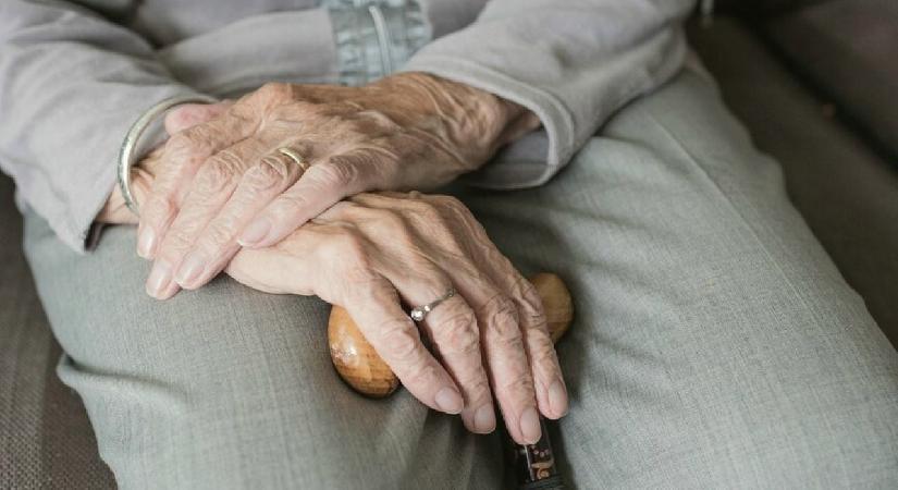 Yaşlı Destek Programı’na başvurular başladı
