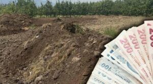 Günlük 5 bin liraya işçi bulamıyorlar! Çiftçiler zorlanıyor