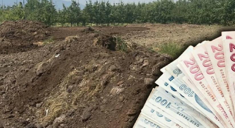 Günlük 5 bin liraya işçi bulamıyorlar! Çiftçiler zorlanıyor
