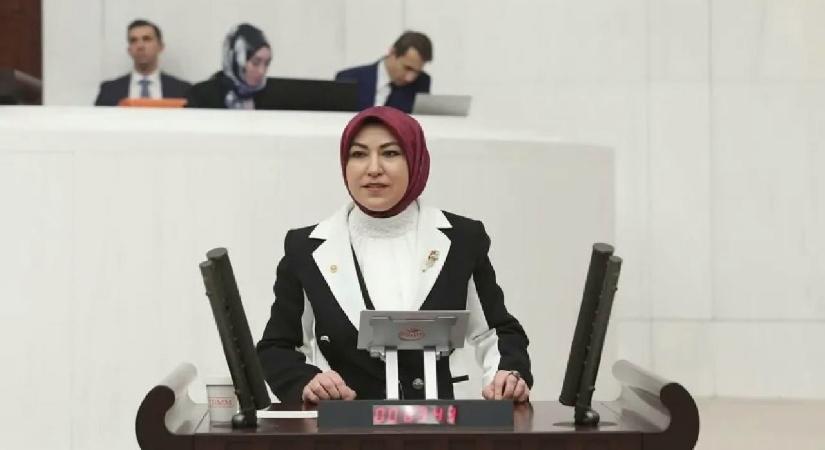 Rukiye Toy, TBMM’de DİLİM Projesini anlattı