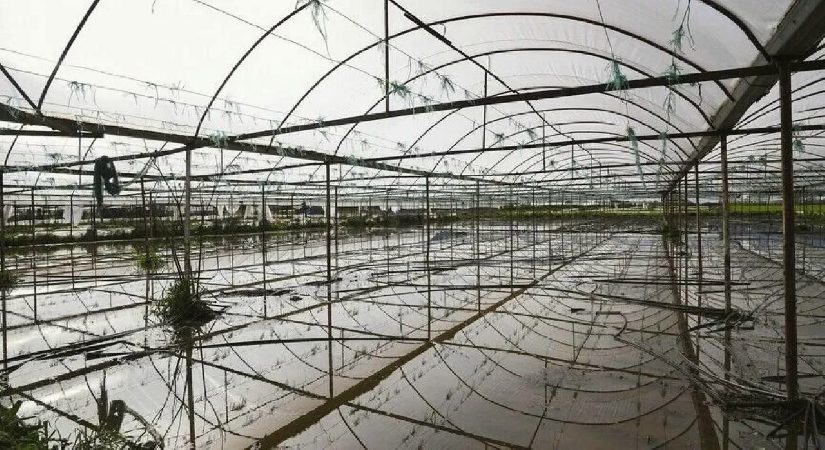 Doğal afetler ilk 6 ayda yaklaşık 900 bin dekar tarım alanına zarar verdi