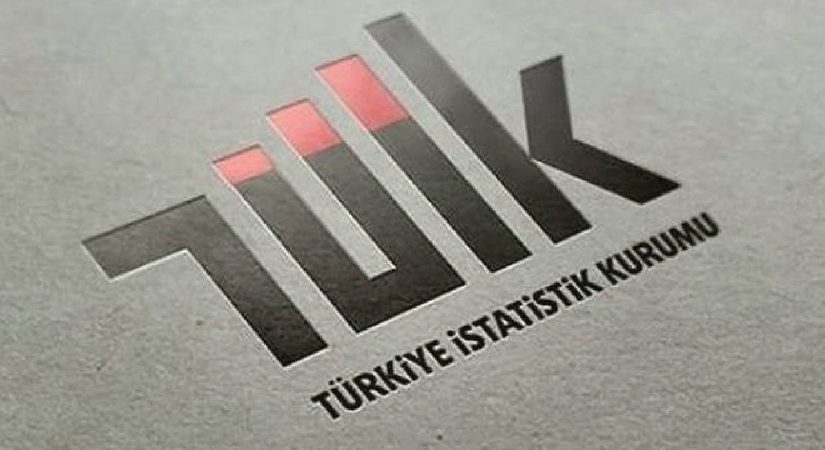 TÜİK açıkladı: En çok kazandıran yatırım aracı belli oldu!