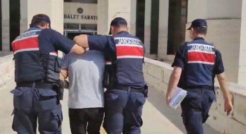Edremit’teki orman yangına ilişkin 1 tutuklama
