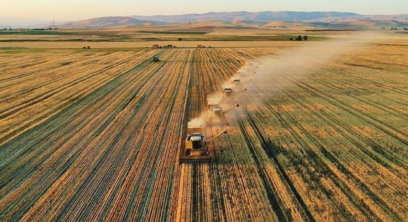 Tarım arazisi olanlar dikkat! Resmi Gazete’de yayımlandı