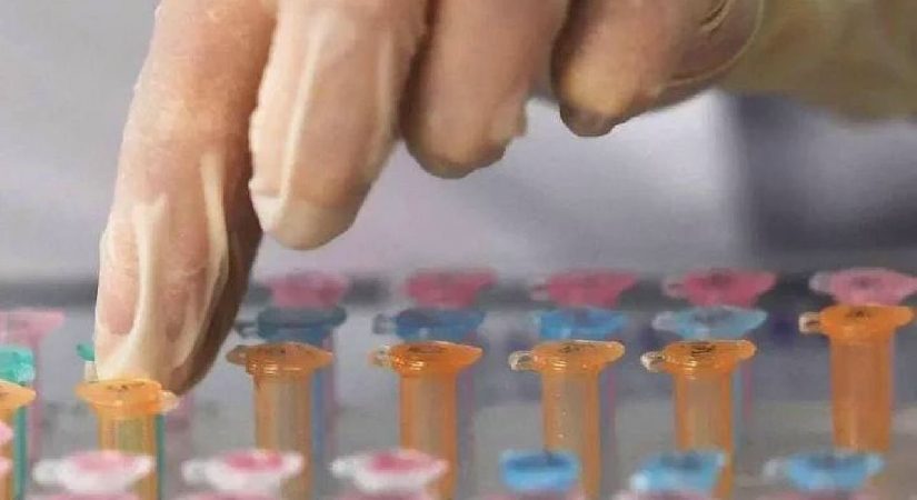 Sibirya’da gizemli zatürre vakasının temaslılarında Kovid-19 ve rinovirüs çıktı