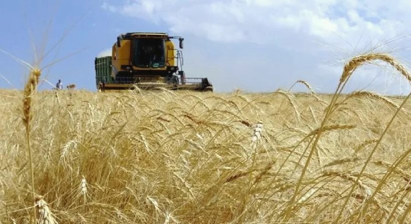 TARSİM 478 bin hasar ihbarı aldı: Tarımda 1,5 trilyon TL’lik güvence
